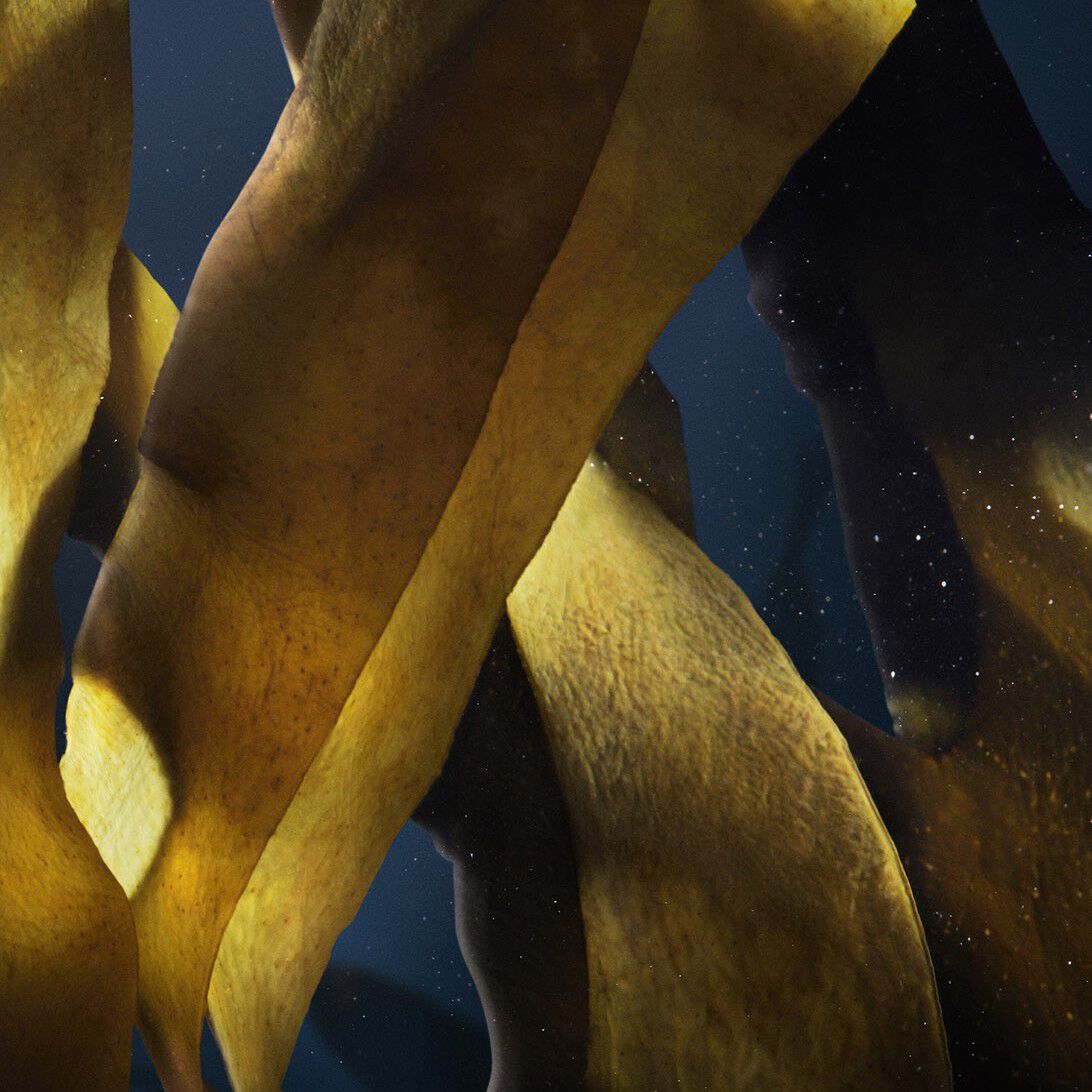 ソワン ノワール Uv フルイド - ソワン ノワール uv フルイド